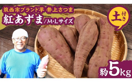 y錧}szy 悵̂ zコ u g v MELTCY 5kg ( yt ) n ܂   Ă   ܂؂悵 [DX010ci]