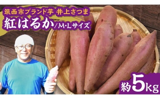 y錧}szy 悵̂ zコ u g͂邩 v MELTCY 5kg ( yȂ ) n ܂   Ă   ܂؂悵 [DX013ci]