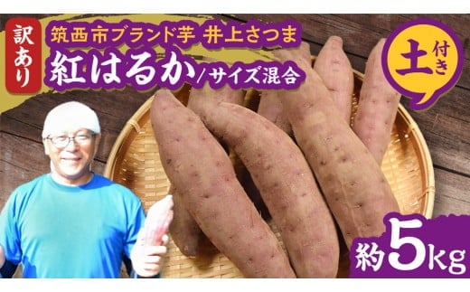 y錧}szy 悵̂ z󂠂 コ u g͂邩 v TCY 5kg ( yt ) n ܂   Ă   ܂؂悵 [DX018ci]