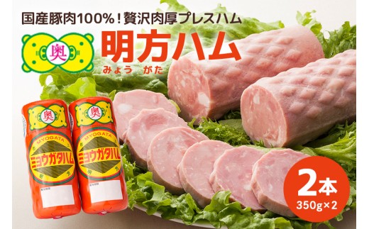 y򕌌Ӓzn@2{ZbgY ؓ  y  ٓ ܂ Xe[L