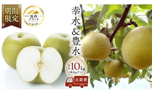 y錧}sz 2 ( K  L e5kg v10kg )   Zbg 2026NY s\ Ȃ iV ԗ Hה Hׂ  [AE022ci]