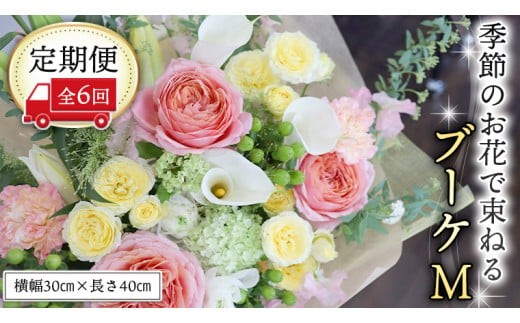 y錧}szցG߂̂Ԃő˂u[PM6 ԑ u[P  [CT010ci]