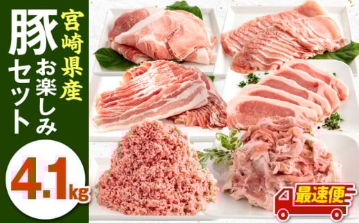 【宮崎県宮崎市】【最速便】宮崎県産豚お楽しみセット 計4.1kg_M241-002-2W