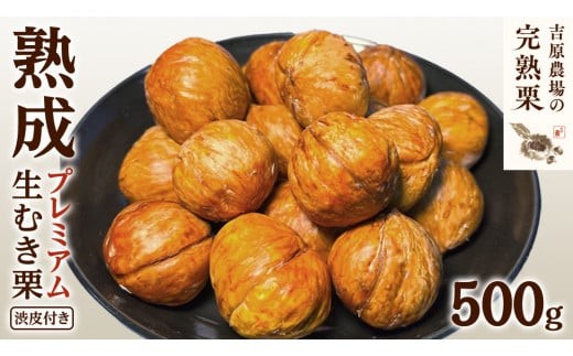 y錧}szy g_  nI z n v~A ނI ( at ) 1 500g ߘa7NY n I ނI ĂI  N I͂  Mtg ʕ t[c ʌ {