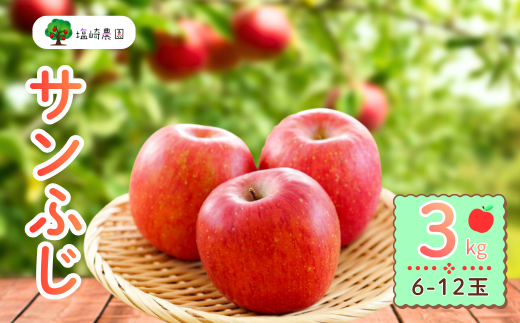 【長野県飯山市】【先行予約】サンふじ 約3kg (6?12玉)(2025年12月上旬から発送)りんご サンふじ 限定  直送 好評 (7-A41-1)