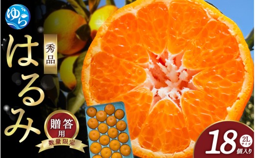 【和歌山県由良町】【来シーズン先行予約】はるみ 和歌山みかん 秀品 2Lサイズ 18個入り 贈答用※2026年1月中旬頃に順次発送予定 / はるみ 柑橘 贈り物 フルーツ 果物 くだもの 食品 人気 おす
