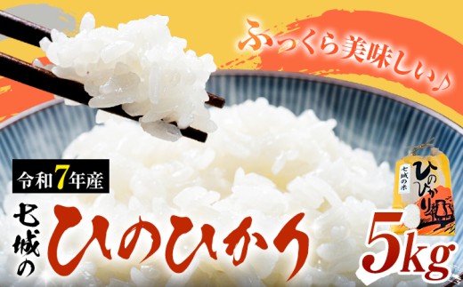 yF{ersz ߘa7NY  Ђ̂Ђ 5kg LБs90ȓɏoח\(yj)tF{ ers   Ђ̂Ђ uh 