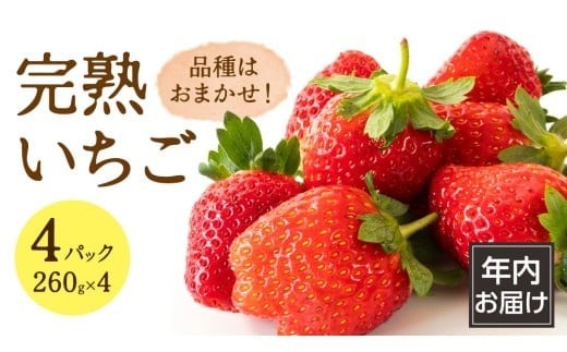 y錧}szy N͂ z n  4pbN 嗱   C`S t[c ʕ [AF114ci]