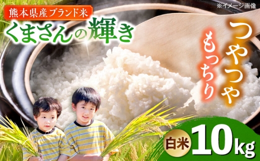 yF{uszyߘa7Nxz ܂̋P  10kg (1)  yTKC{iҕăNujz [AYDI002]