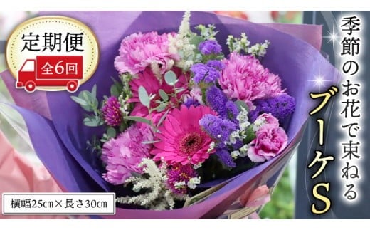 y錧}szցG߂̂Ԃő˂u[PS6 ԑ u[P  [CT007ci]