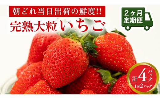 y錧}szy 2  zn  2pbN s\ 嗱 C`S  t[c ʕ [AF099ci]