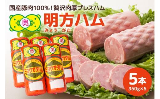 y򕌌Ӓzn@5{ZbgY ؓ  y  ٓ ܂ Xe[L