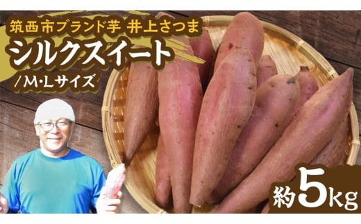 y錧}szy 悵̂ zコ u VNXB[g v MELTCY 5kg ( yȂ ) n ܂   Ă   ܂؂悵 [DX015ci]