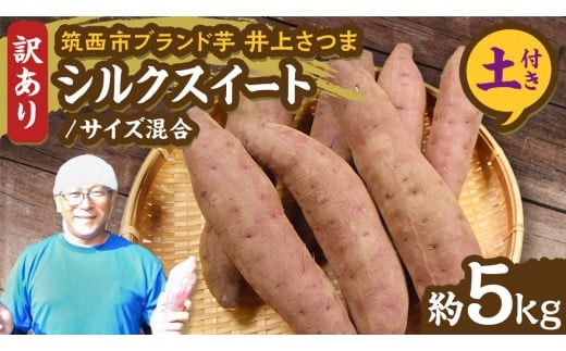 y錧}szy 悵̂ z󂠂 コ u VNXC[g v TCY 5kg ( yt ) n ܂   Ă   ܂؂悵 [DX020ci]