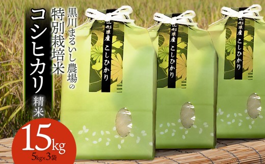 yR`߉szyߘa7NYzyVāz ܂邢_̓ʍ͔| RVqJ 15kg(5kg×3) R`߉sY@K-7129