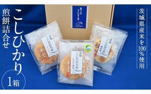 y錧}szЂ  l 1 ׂ Zbg َq  RVqJ [BC002ci]