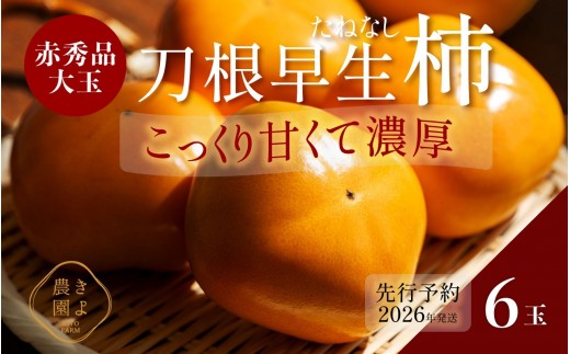 ya̎Rxcz`(햳) 6 Giʁm2026N9蔭nmKT1n