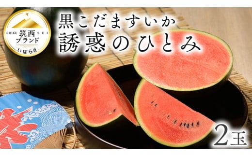 JA北つくば 】 黒こだますいか 「 誘惑のひとみ 」 2玉 2026年産