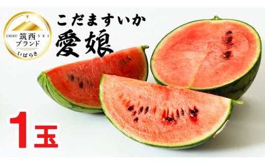 こだますいか 「 愛娘 」 1玉 2026年産 先行予約 筑西ブランド こだま