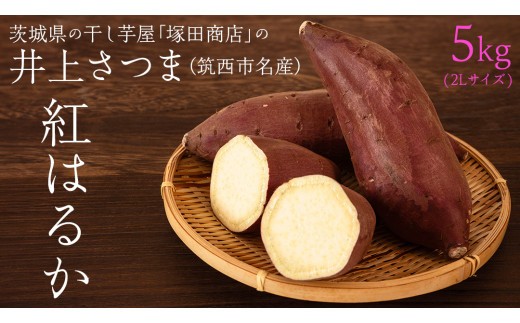 塚田商店 】 井上さつま 「 紅はるか 」 5kg ( 2Lサイズ ) 新物