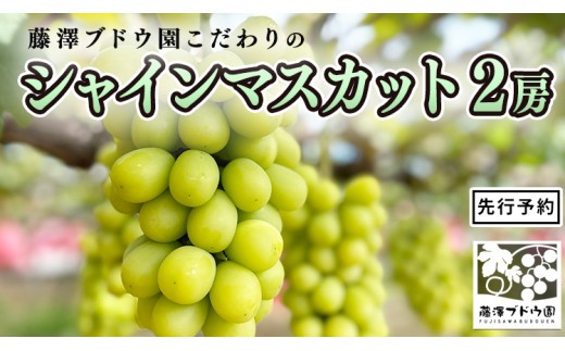 藤澤ブドウ園 】 こだわり の シャインマスカット 2房 2026年産 先行