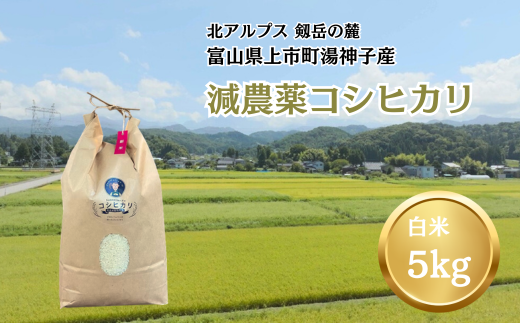 令和7年産】減農薬 上市町湯神子産コシヒカリ（白米）5kg [ソムリエH 