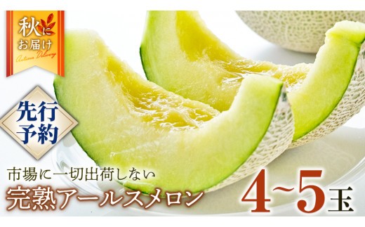 オダ　マスクメロン 6個入りと4個入りセット オダ マスクメロン 6個入りと4個入りセット オダ マスクメロン 6個