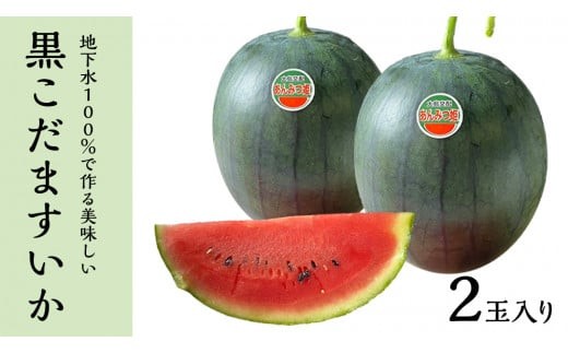 【こだますいか】食器セット 多様なデザイン※他の方購入不可！！！ 地下水100％で作る美味しい「 黒こだますいか 」 2玉入り あんみつ姫