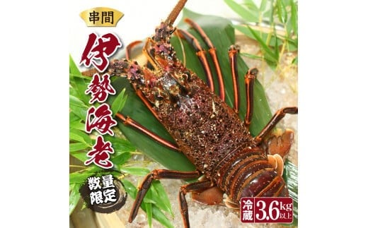 【宮崎県串間市】L-F1 <期間・数量限定>串間市産!天然イセエビ3.6kg以上 【串間市漁業協同組合】