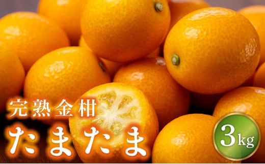 【宮崎県串間市】KU431-3【数量限定】完熟金柑たまたま3kg