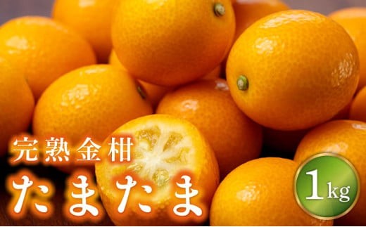 y{茧ԎszKU431-1yʌzn܂1kg