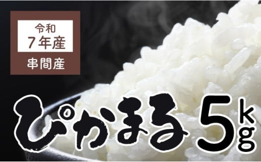 y{茧ԎszKU153_R7 ߘa7NYuāv҂܂(5kg)yčXz