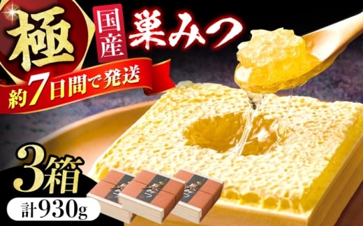 yL쒬zɑ݂ 930g (310g×3) I ݂͂ n`~c ݂  Rnj[ ɏ Z Mtg Xs[hz L쒬 / ЋBI̎q{ [AFAI009]