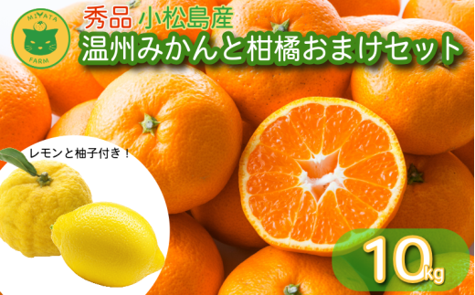 【徳島県小松島市】温州みかんと柑橘おまけセット 10kg 2025年10月順次発送 みかん ミカン 蜜柑 甘い フルーツ 柑橘 ジュース ゆず レモン 小松島市