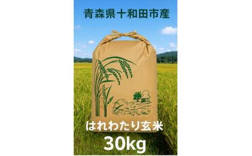 yX\acszߘa7NY͂킽30kg()y1680302z