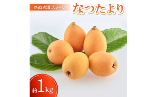 y쌧zʂ]t[cuȂv1kgߘa8N5{`6{y1609800z