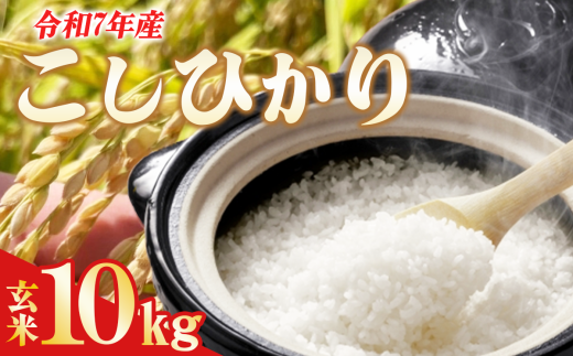 【茨城県つくば市】☆令和7年産☆ よこたファームのコシヒカリ(玄米) 10kg 【 米 ライス 玄米 こしひかり 10kg 茨城県産 新米 こだわり こめ コメ お米 2025年産 おこめ R7 ご飯 ごはん 数量 限定