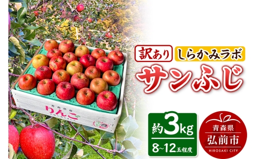 【青森県弘前市】【25年12月〜発送】りんご サンふじ【訳あり】約3kg しらかみラボ