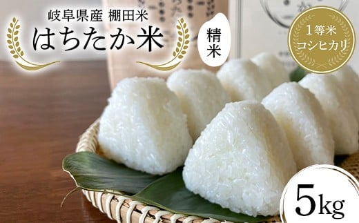 y򕌌Ðsz򕌌Y Ic 1ăRVqJ ͂ 5kg F4N-2576