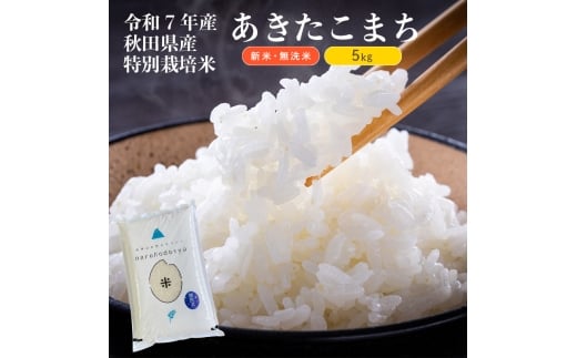 yHcɂَszyߘa7NYVāzyāzʍ͔|Ă܂5kg×1  R  HcY Y