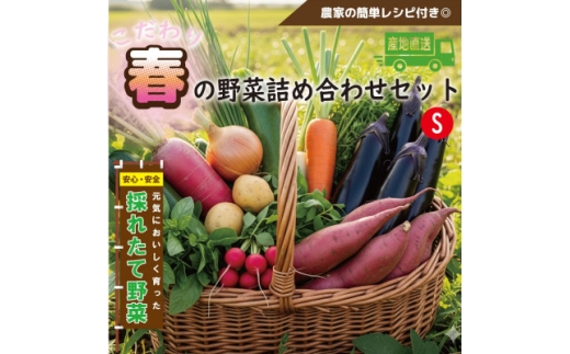 【大阪府和泉市】<こだわり春の野菜詰め合わせセット>Sサイズ 栽培期間中農薬・化学肥料・除草剤不使用の旬野菜【1679691】