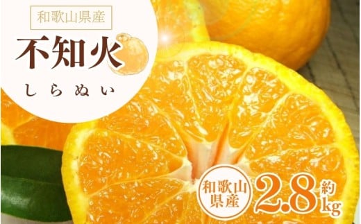 【和歌山県串本町】デコ不知火(デコポン) 約2.8kg/サイズおまかせ ※2026年2月上旬〜2026年4月上旬頃に順次発送予定(お届け日指定不可) 紀伊国屋文左衛門本舗 【kstb421C】
