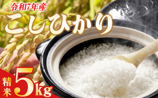 y錧Ύszߘa7NY 悱t@[̃RVqJ()@5kg y  CX   Ђ 5kg 錧Y _ _ V   R  2025NY  R7 