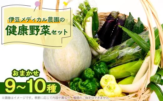【静岡県函南町】伊豆メディカル農園の健康野菜セット【1047533】