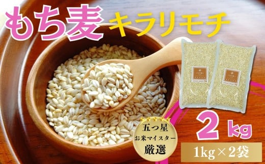 yꌧzwxL`2si1s×2܁j / ˕čXmA0194-0015n