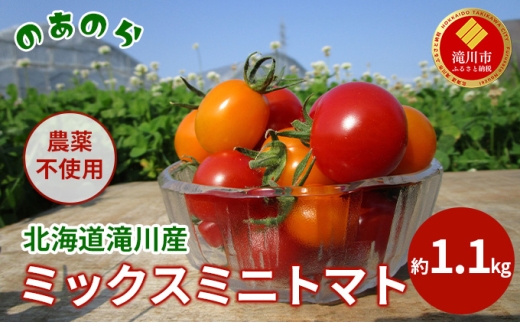 ykCszy2026NYstzy͔|Ԓ _sgp z kC s Y ~bNX ~jg}g 1.1kg i2026N7{j g}g  ₳ ݂ɂƂ܂