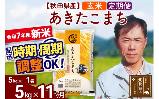 yHckHcszߘa7NY Vās11tHcY ܂ 5kgyāz(5kg) 2025NY ͂Iׂ ͂\ uɒOK  ݂t@[