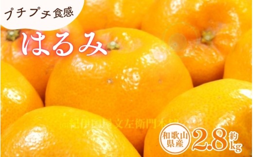 ya̎RV{sz͂ 2.8kg/TCY܂@2026N1{`2026N3{ɏ(͂ws)@Iɍq{܁@ysgtb461Bz