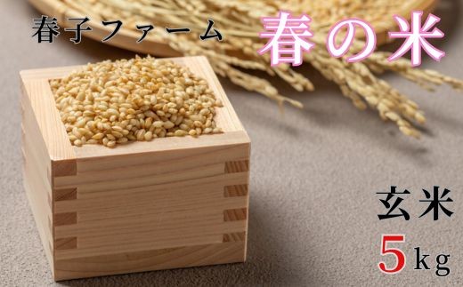 【千葉県東庄町】《令和7年産》春の米 玄米 5kg / 米 お米 こめ コメ ごはん 無農薬 農薬不使用 春の米 玄米 令和7年産 新米 5kg 千葉県 東庄町 春子ファーム 産地直送 産直 送料無料
