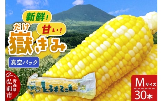 yXOOszԂݐ^pbN MTCY 30{ 炩݃{